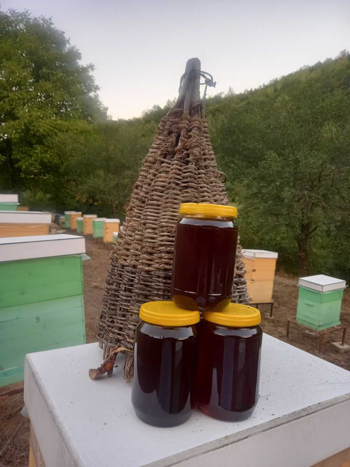 Пчелен мед от Балкана