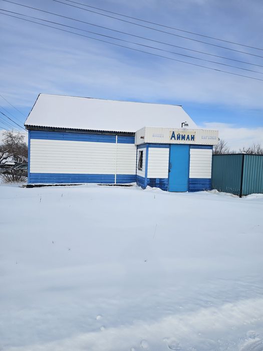 Продам дом+магазин+готовый действующий бизнес