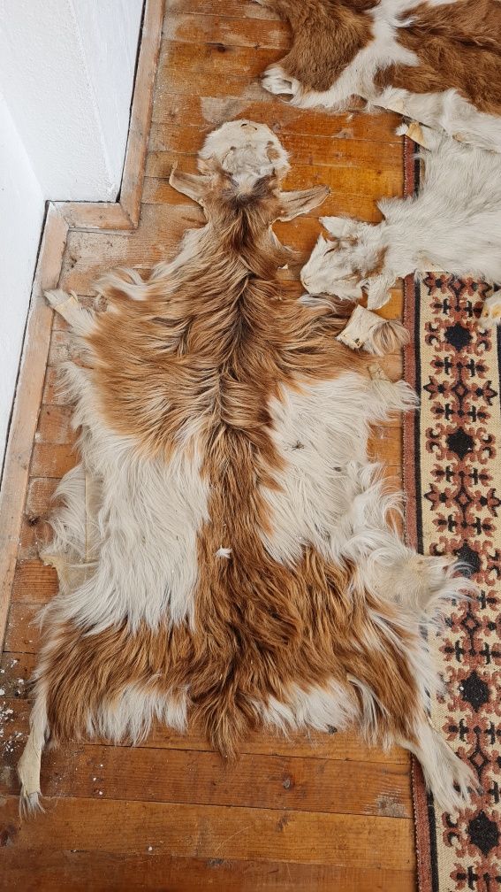 Килимчета, кожа от кози