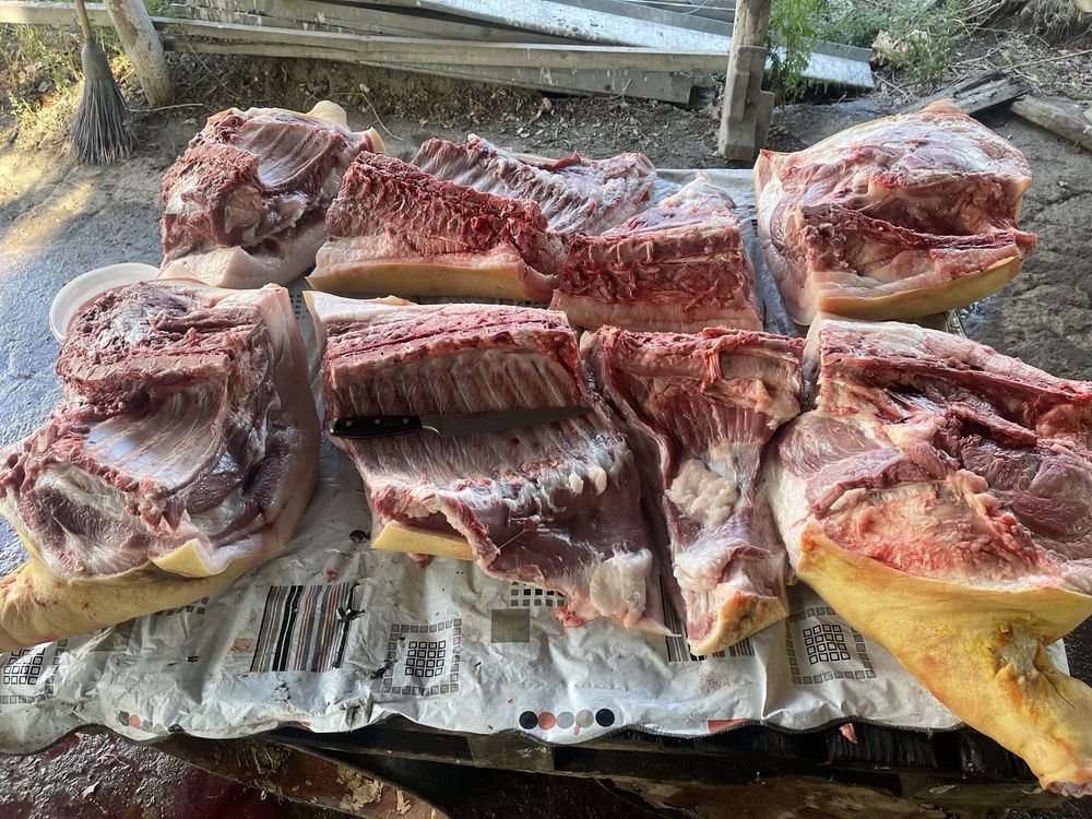 Продам свинину .