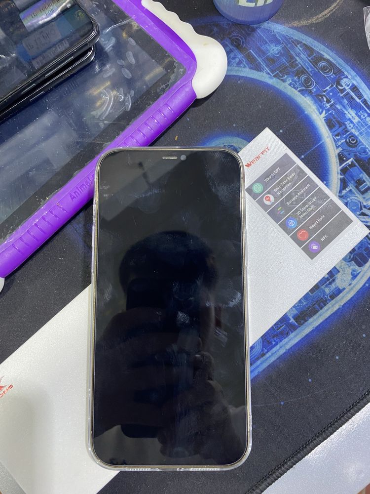 iphone 12 pro max