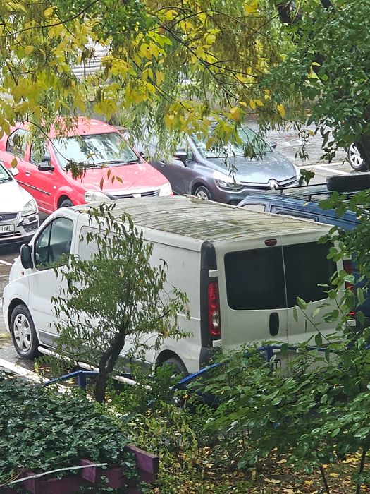 Renault Trafic - Mixt 5 locuri, variata lunga