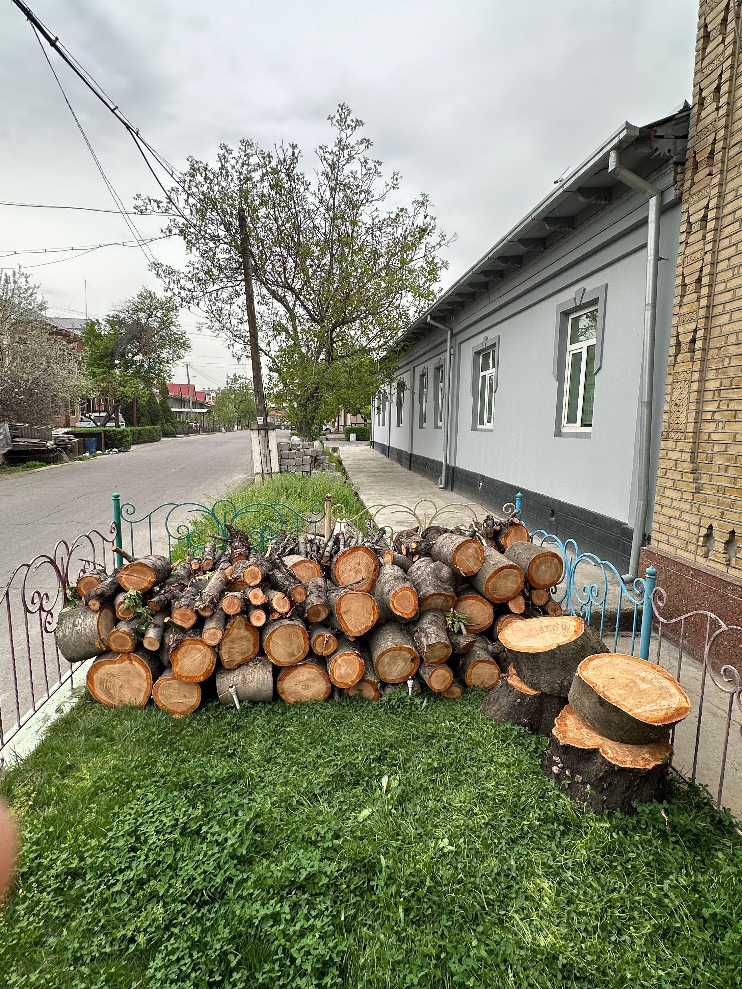 Древесины для декоративный ландшафт