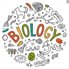 Meditatii pentru BAC la biologie clasa 11-12