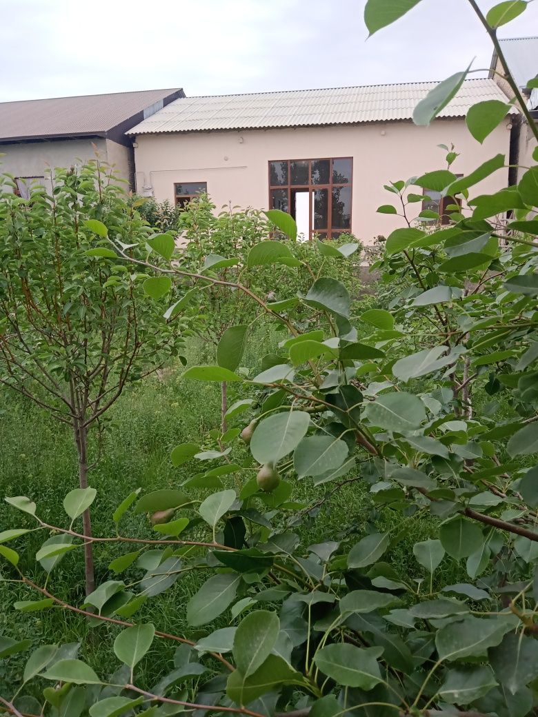 Участка сотилади 55000у.е