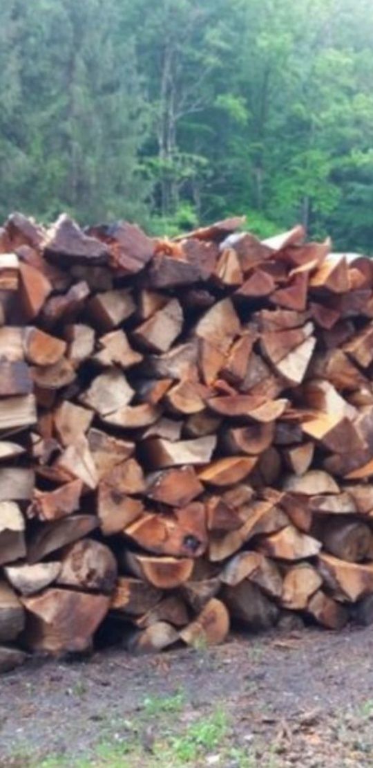 Vand lemne de foc esență tare fag