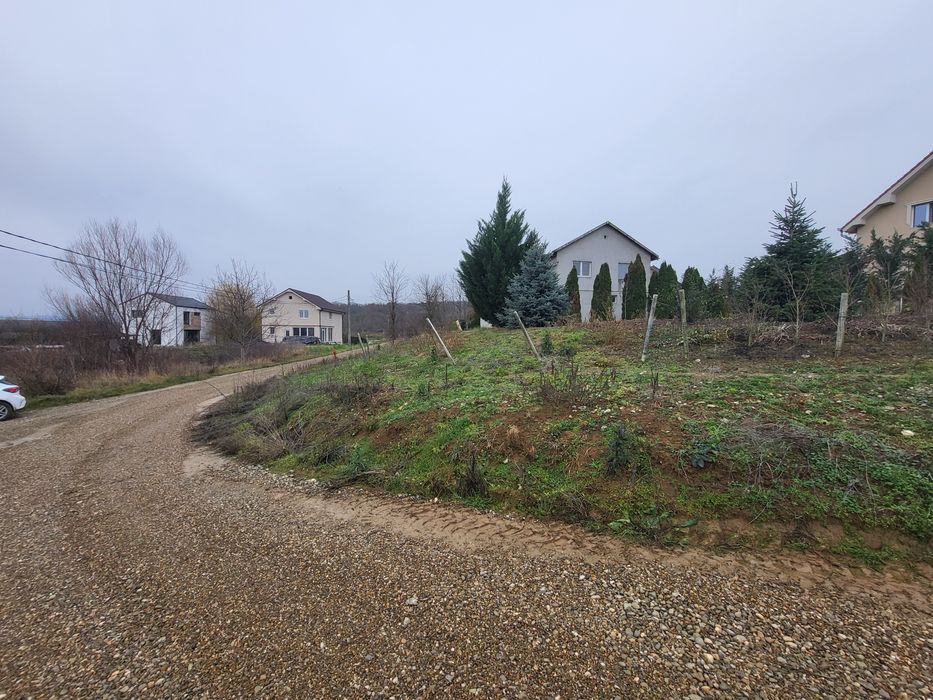 Teren intravilan Paleu