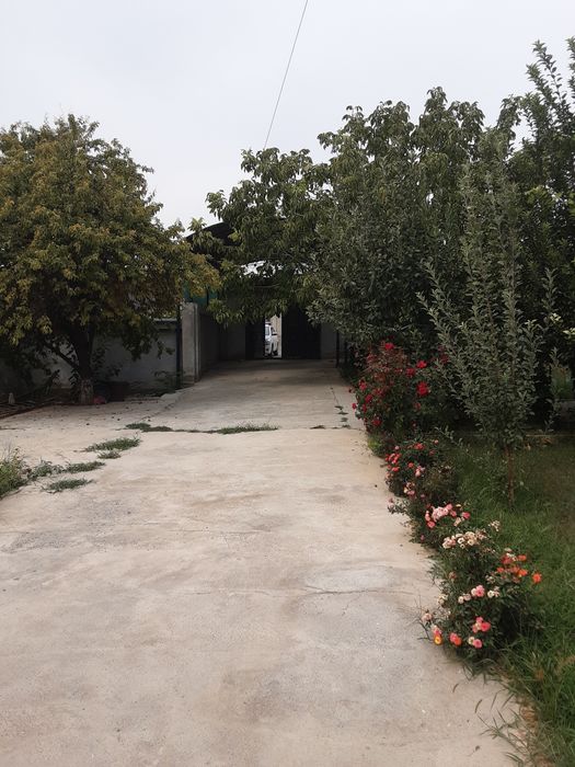 Участок с домом в пригороде Ташкента 21 сотка