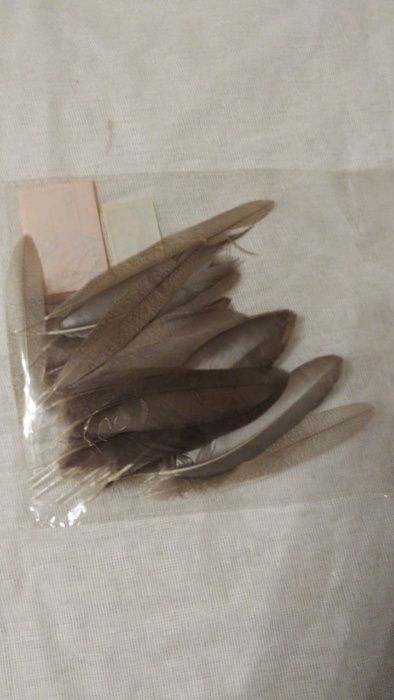 Перья Утки дикой