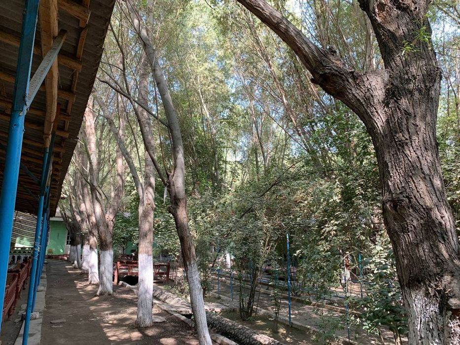 Dacha, dam olish maskani