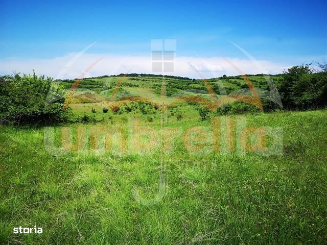 Teren de vanzare in  Zona Gheorgheni 5.800mp