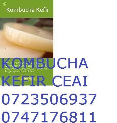 Kombucha, ciuperca kombucha, Ceai kombucha, kombucha tea, CeaiKombucha