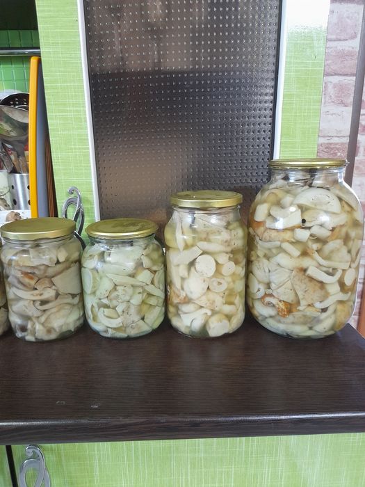 Маринованные грибы