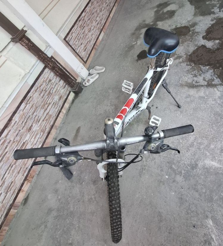 26 Velik sotiladi