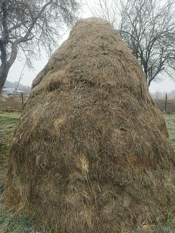 Fân de vânzare.,