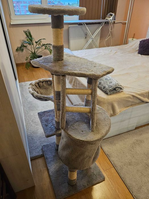 котешка катерушка
