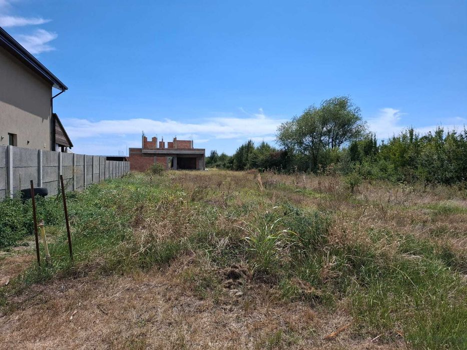 Vand teren Bazosu Nou, str. Cedrilor, nr. 17, Bucovat, Timis -> 592m2