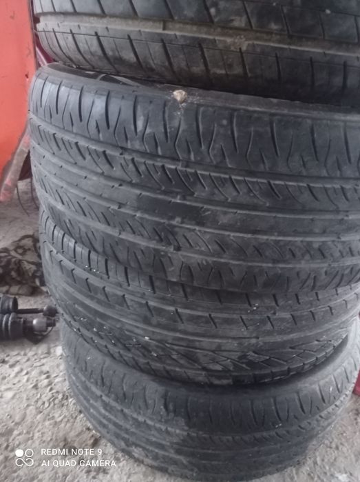 жагдайы мыкты жыртык тилик шишка жок