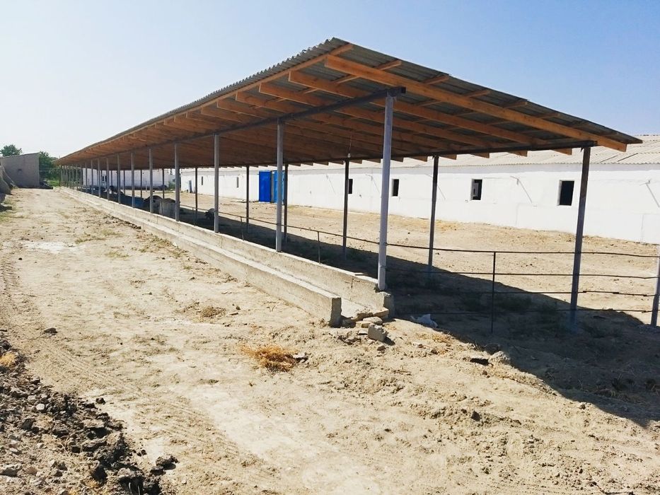 Молхона сотилади