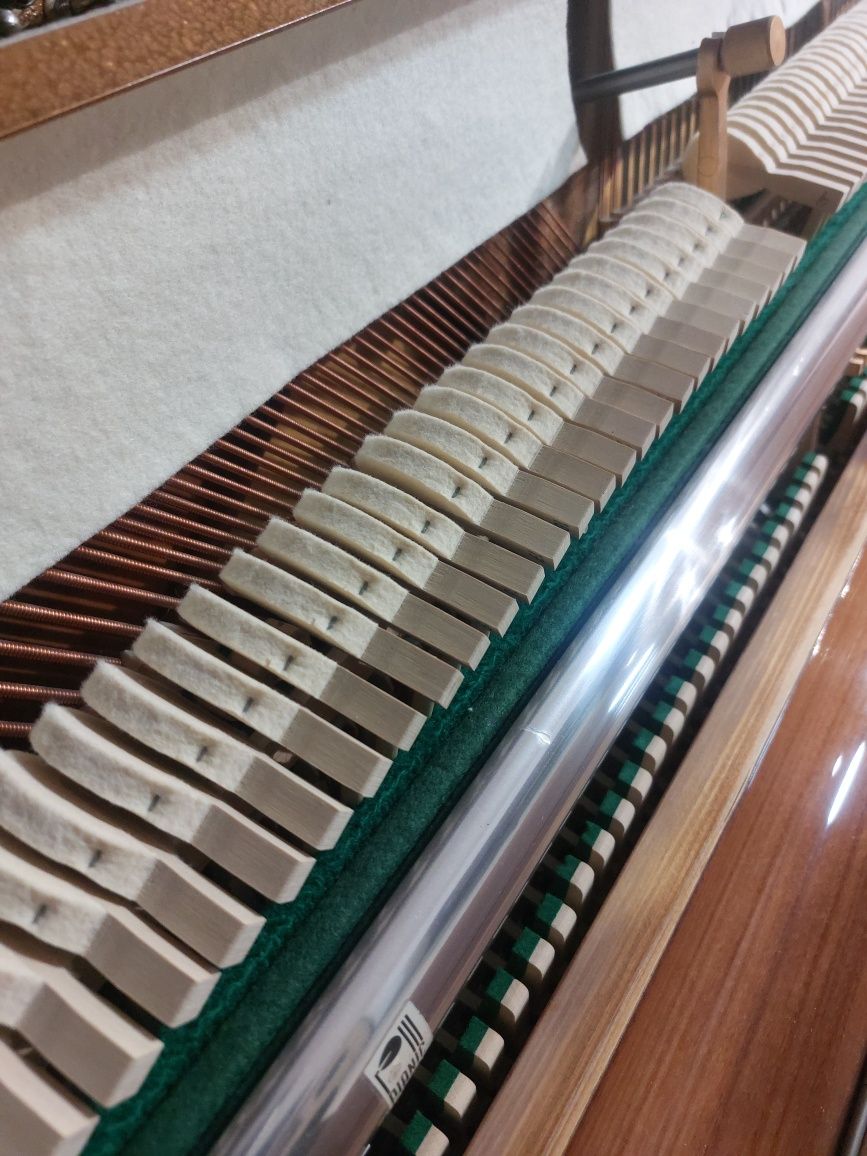 Pianina Zimmermann (transport gratuit, garanție)