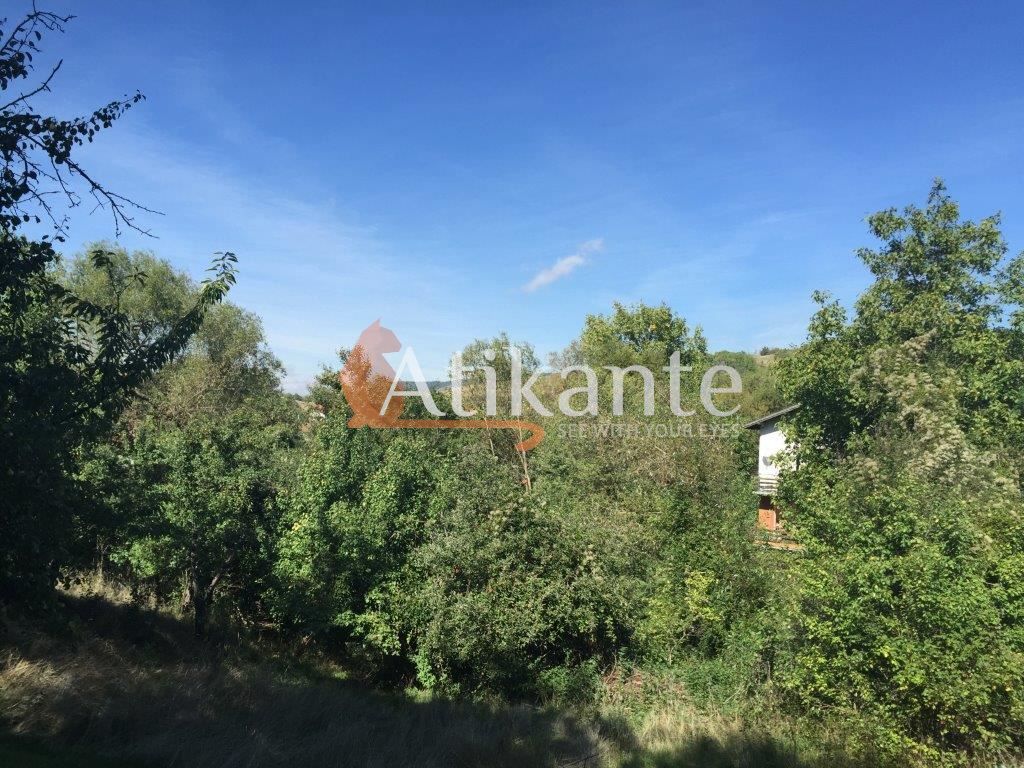 Продава се Парцел в с. Големо Бучино, Област Перник - 3700 кв.м за 13 €/кв.м - Снимка #3