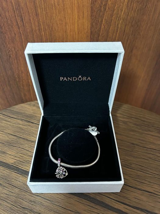 Bratara de argint Pandora