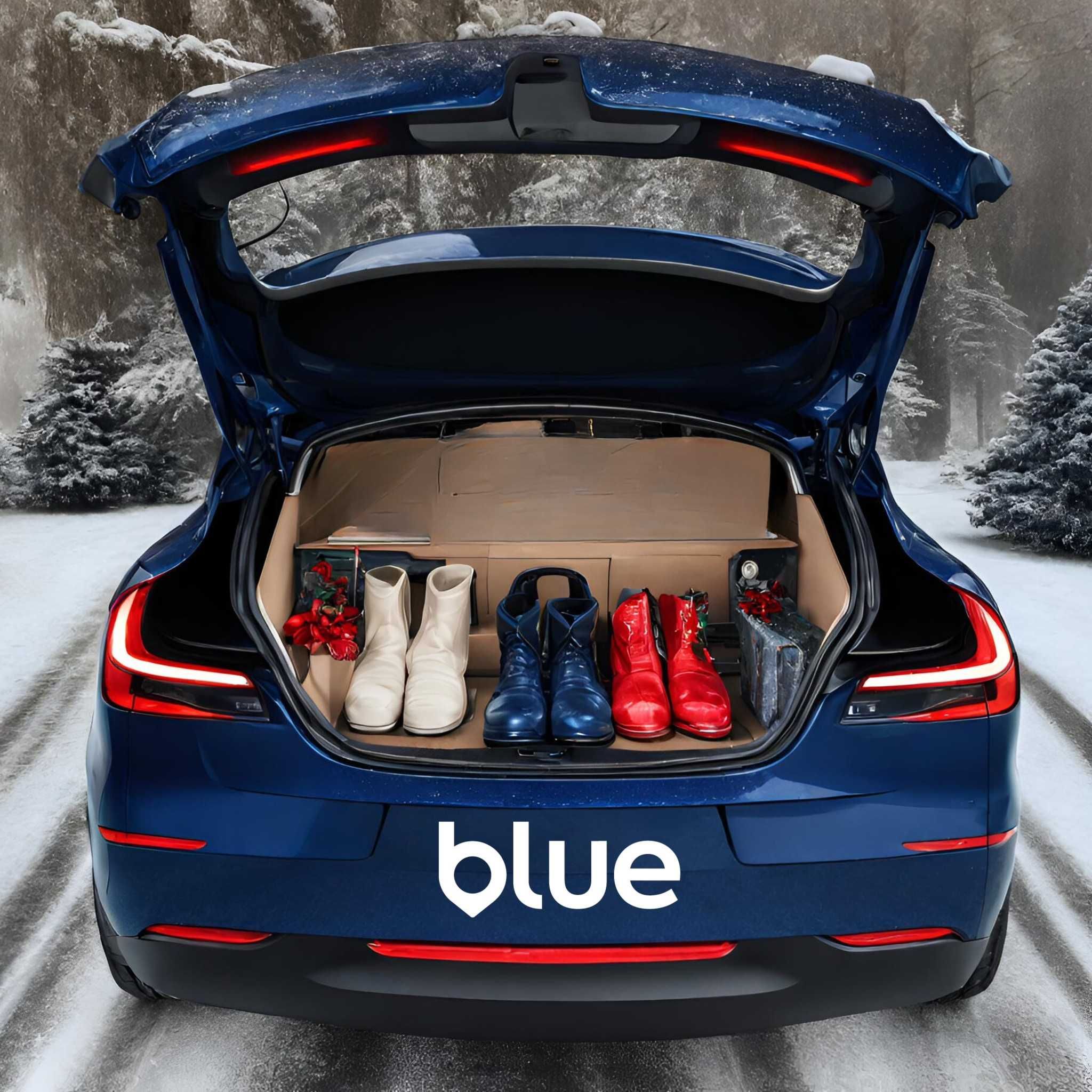 Angajare BLUE Bucuresti Tesla Y/3