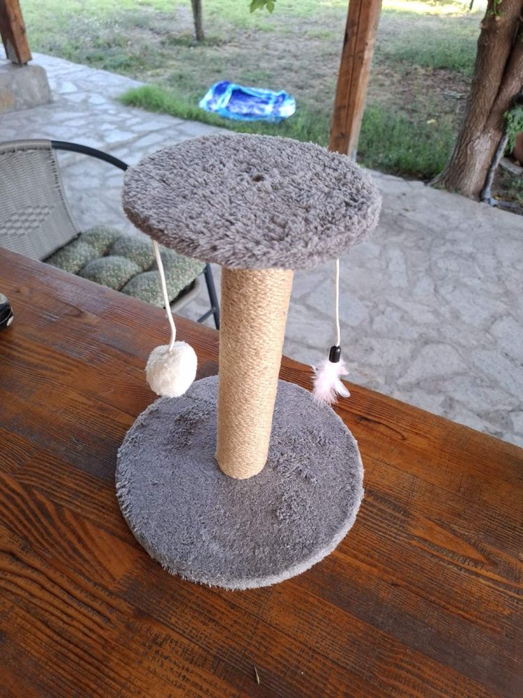 Играчка за котки