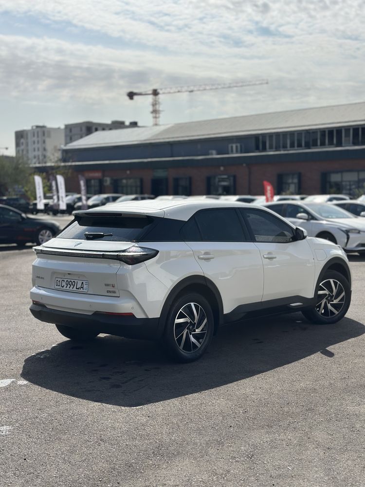 Netta U Pro 2022 Oq 450 km