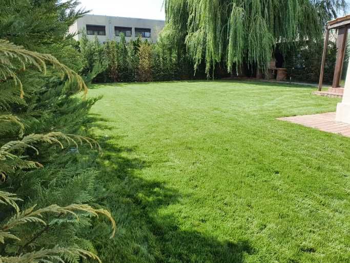 Sisteme de Irigare si Gazon Rulou