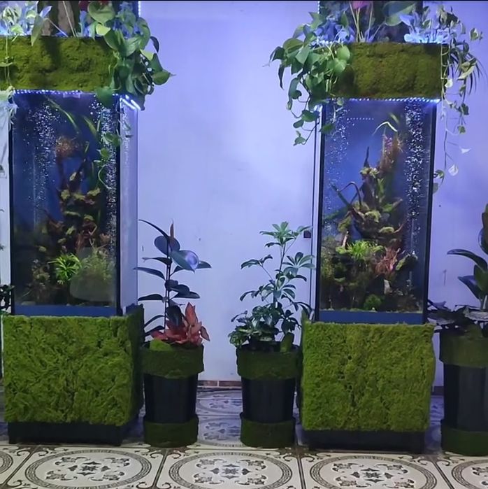 В продаже Аквариум Колонна