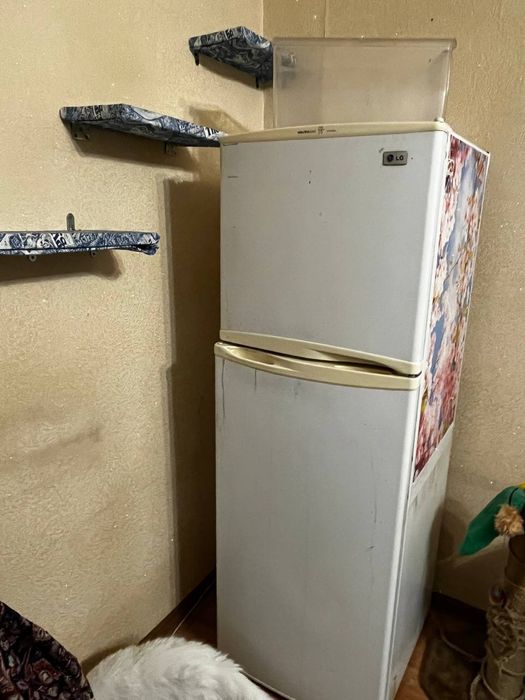 Отдам бесплатно нужно заправить фреон