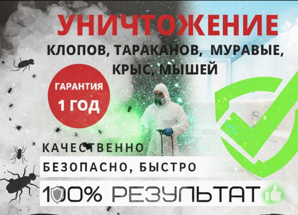 СЭС СЕРВИС | Дезинсекция | Быстрое уничтожение тараканов, клопов, блох