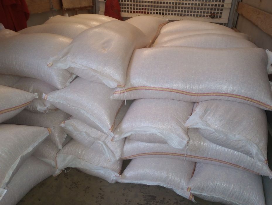 Cartof consum alb rosu! Porumb!