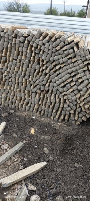 Spalieri stâlpi vie sau gard