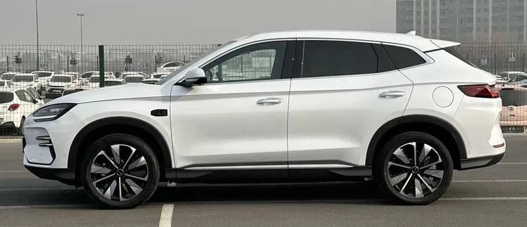 BYD Champion Smart 2025