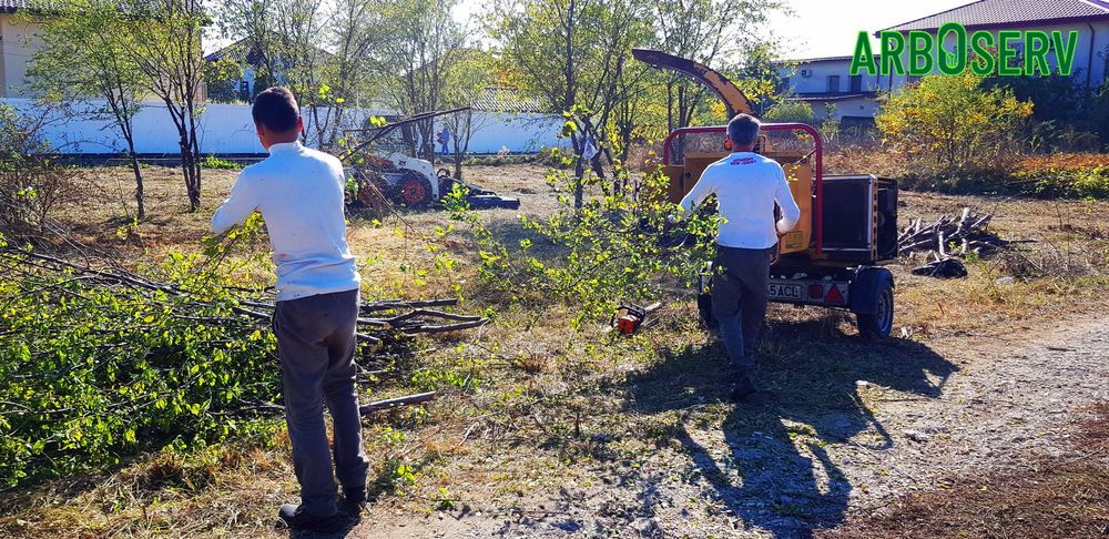 Defrisare cosire si curatare teren de iarba arbusti ambrozie copaci