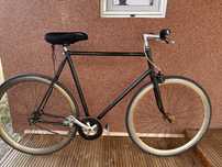 Bicicleta cursiera