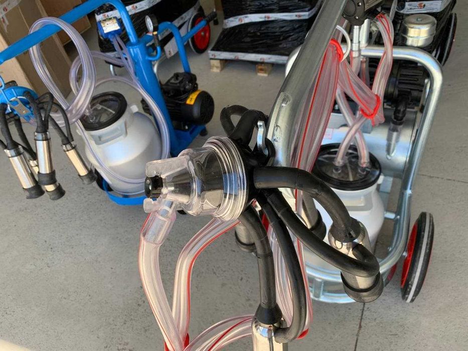 Mulgatori vaci, oi, capre cu bidoane inox sau aluminiu, NOI