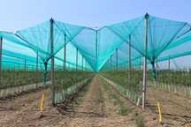Plasa Verde Antigrindina 1x200ml=530lei/rola,Margine Intarita Elastica
