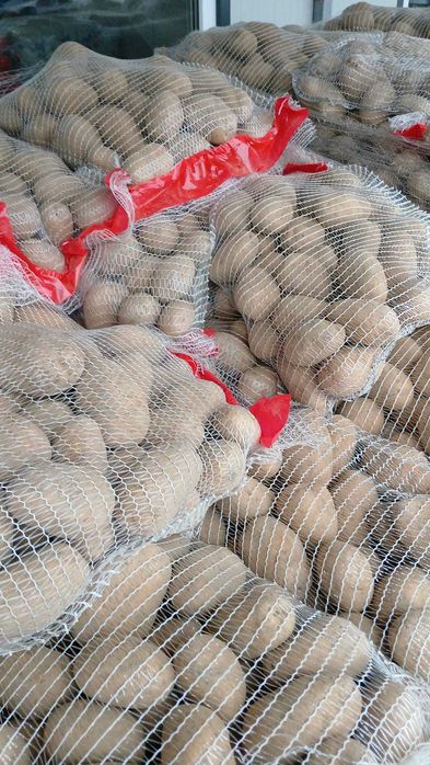 Vand cartofi de Franta