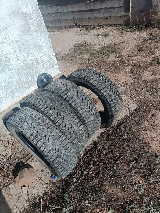 зимние шипованные шины