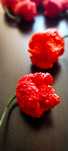Най-лютата чушка в света – Carolina Reaper