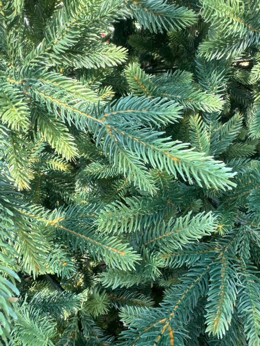 Ёлка высокого качества PE + набор украшений