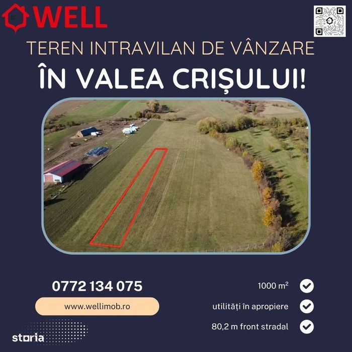 Teren intravilan de vânzare în Valea Crișului!