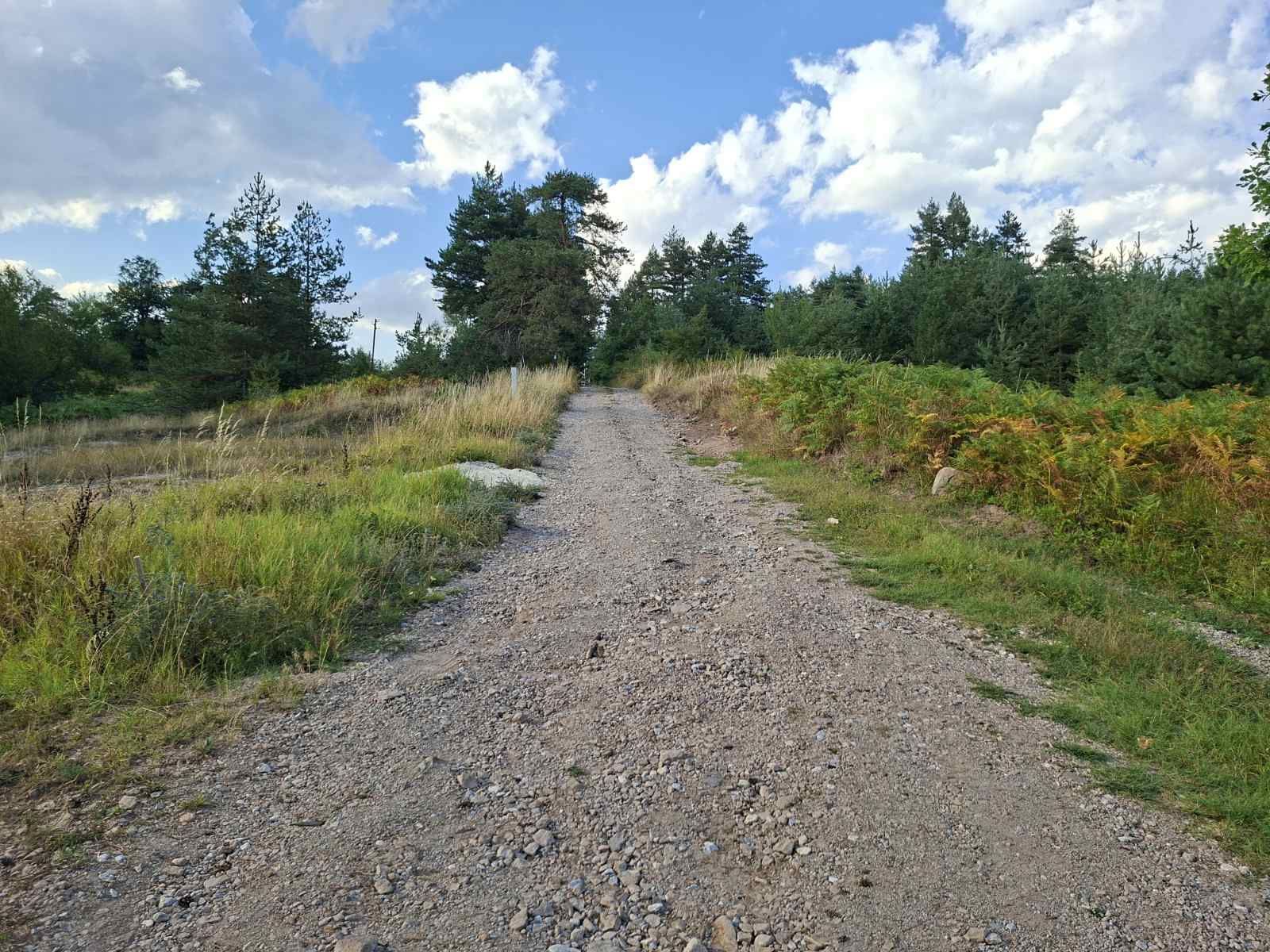 Предлагаме за продажба 2 парцела с. Мостово, сменен статут, ток и вода