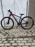 Specialized roti 29