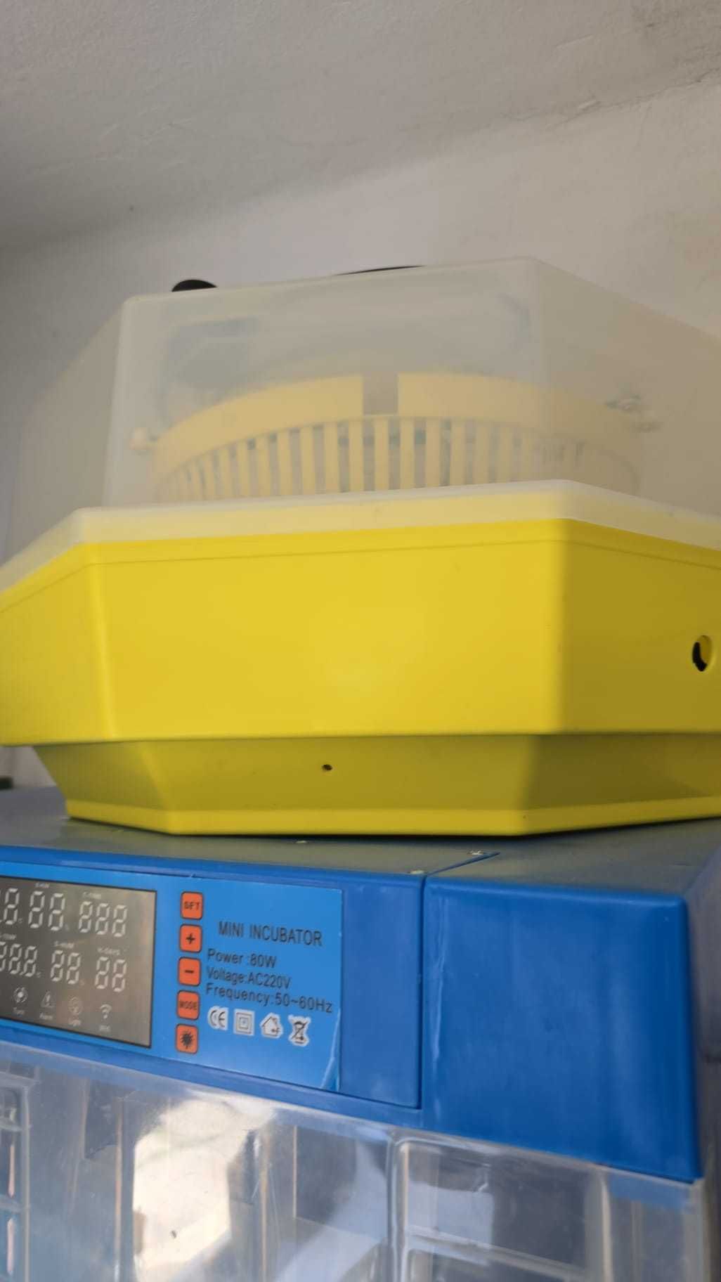 Incubator de vânzare