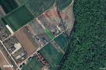 Teren intravilan 1500 mp langa padure, lac, Ciolpani, Izvorani, Snagov