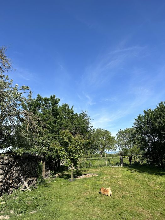 Vand Casa individuala jud SATU MARE - comuna Porumbesti